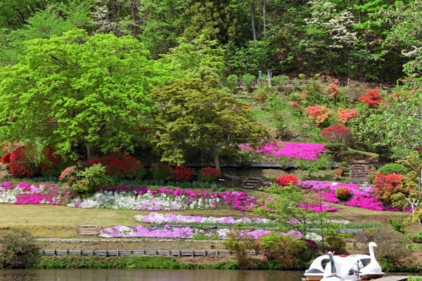 花と歴史の郷 蛇の鼻, 本宮, 福島
