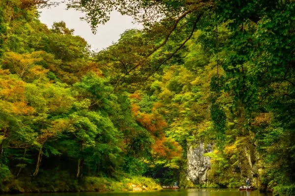 岩手・一関の猊鼻渓の紅葉
