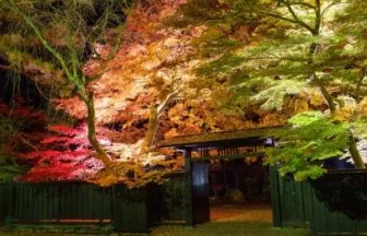 秋田・角館武家屋敷通りの紅葉ライトアップ