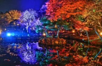 天守閣自然公園「秋保ナイトミュージアム」