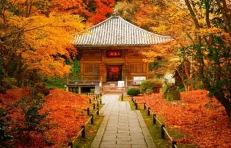 松島・円通院の紅葉