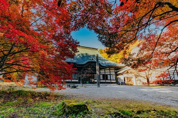 長野・大町市の霊松寺の紅葉