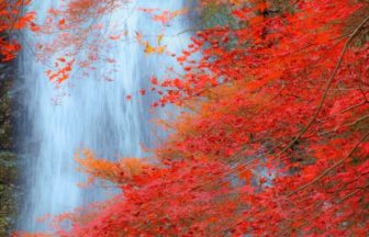 箕面大滝, 紅葉, ⼤阪