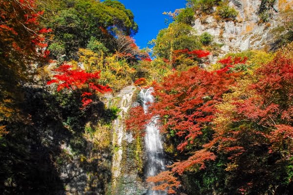箕面大滝, 紅葉, ⼤阪