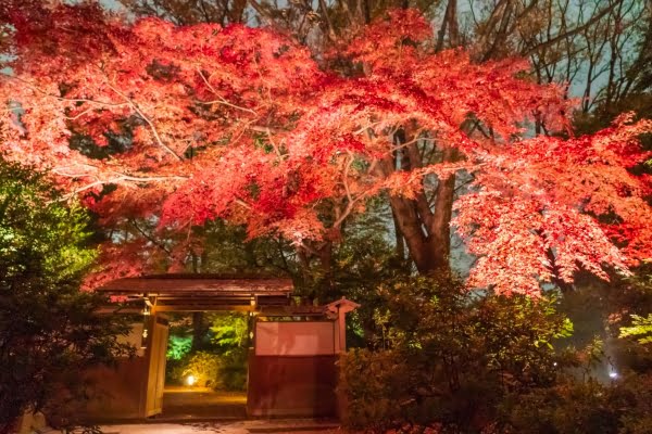 六義園, 紅葉, 東京