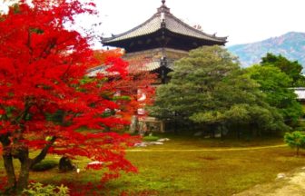 鹿王院, 京都, 紅葉
