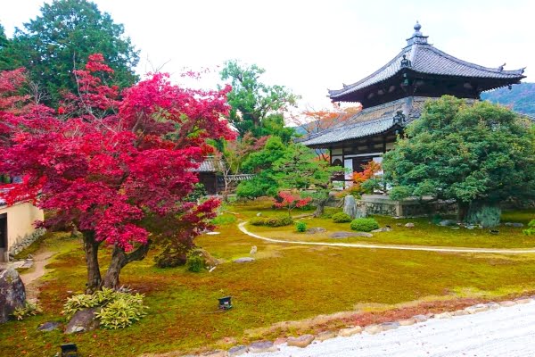 鹿王院, 京都, 紅葉