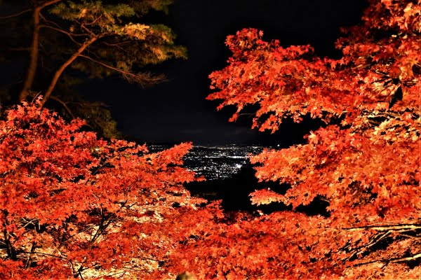 大山, 紅葉, 神奈川