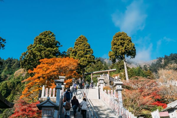大山, 紅葉, 神奈川, 大山阿夫利神社