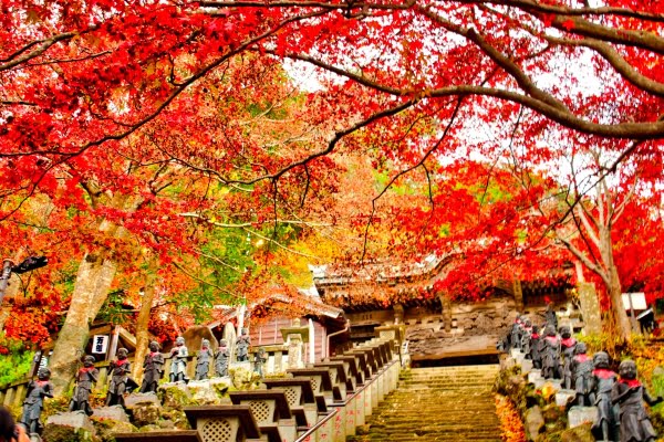 大山, 紅葉, 神奈川
