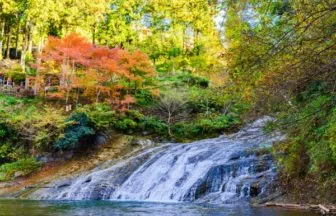 千葉・養老渓谷の粟又の滝