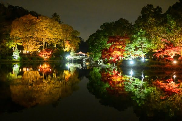 薬師池公園, 紅葉, 町田, 東京