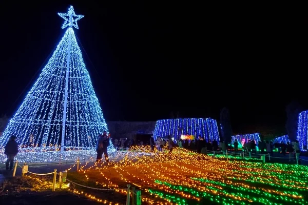 香川・国営讃岐まんのう公園「ウィンターファンタジー」