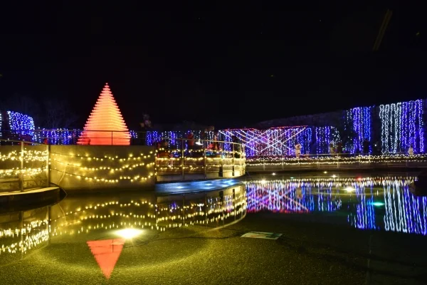香川・国営讃岐まんのう公園「ウィンターファンタジー」