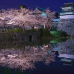 福岡城・舞鶴公園｜2024年の桜の見頃・開花状況・ライトアップ・料金・アクセス・駐車場は？
