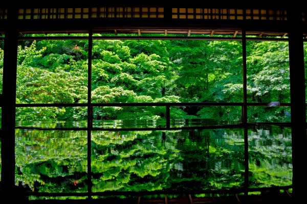 瑠璃光院, 床もみじ, 新緑, 八瀬, 京都