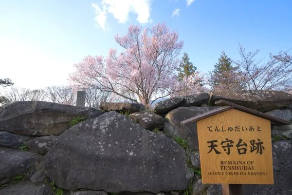小諸城址懐古園の天守台