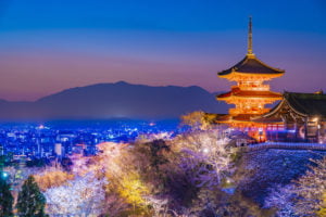 清水寺, 京都, 桜, ライトアップ