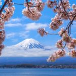 富士・河口湖さくら祭り｜2024年桜の見頃・開花状況・ライトアップ・アクセス・駐車場は？