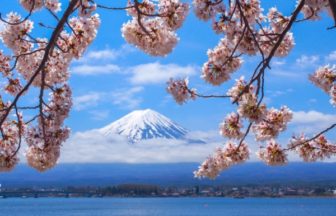 富士・河口湖さくら祭り, 富士河口湖町, 山梨, 桜, 富士山
