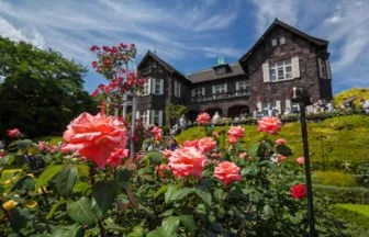 東京・北区の旧古河庭園のバラ