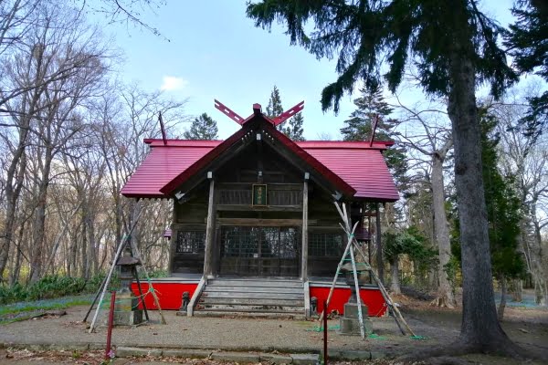 浦臼神社, カタクリ, エゾエンゴサク, エゾリス, 浦臼町, 北海道