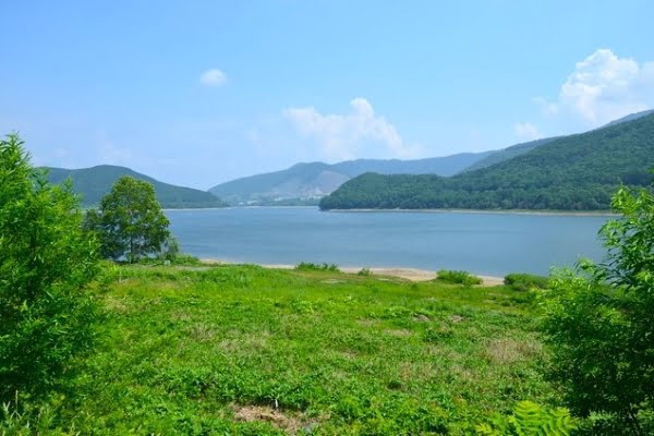 ラベンダー, かなやま湖, 南富良野町, 北海道