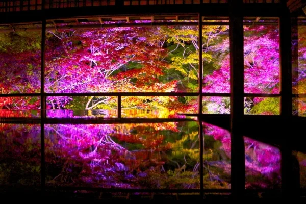 京都・瑠璃光院の紅葉ライトアップ