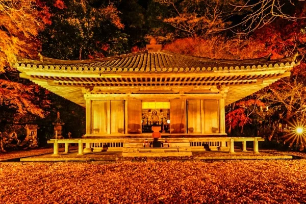 大分・豊後高田市の富貴寺国宝「大堂」の紅葉ライトアップ