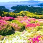長崎県佐世保市 長串山公園から見下ろす九十九島と山肌を染める約10万本のツツジ
