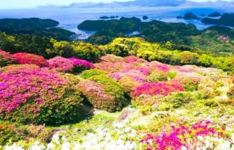 長崎県佐世保市 長串山公園から見下ろす九十九島と山肌を染める約10万本のツツジ