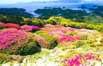 長崎県佐世保市 長串山公園から見下ろす九十九島と山肌を染める約10万本のツツジ