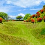静岡県三島市 満開の見頃を迎えたツツジと美しい富士山が織りなす山中城跡の絶景