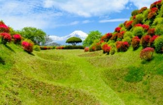 静岡県三島市 満開の見頃を迎えたツツジと美しい富士山が織りなす山中城跡の絶景