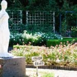 奈良県奈良市 約200種類2000株が植えられた霊山寺のバラ庭園