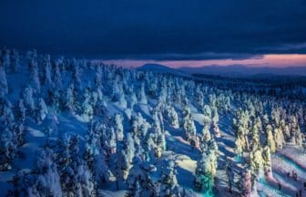 山形市蔵王温泉 ライトアップされたスノーモンスター（樹氷）