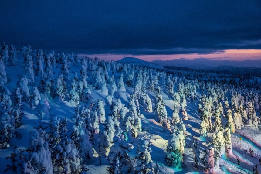山形市蔵王温泉 ライトアップされたスノーモンスター（樹氷）