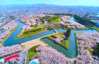 北海道函館市 五稜郭 星形城塞を囲む満開の桜を上空から望む絶景