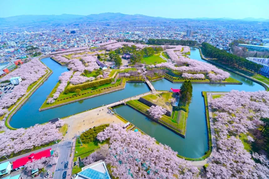 北海道函館市 五稜郭 星形城塞を囲む満開の桜を上空から望む絶景
