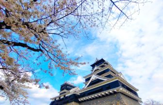 熊本県熊本市 日本三大名城の一つである熊本城の天守閣と満開の桜