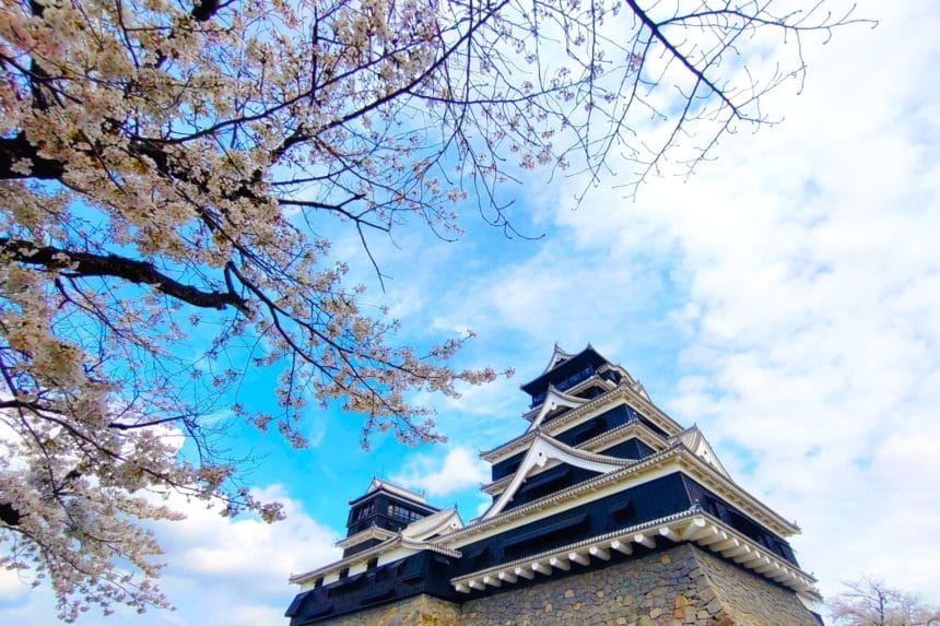 熊本県熊本市 日本三大名城の一つである熊本城の天守閣と満開の桜