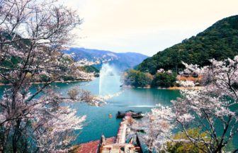 熊本県水上村 日本さくら名所100選に選ばれた市房ダム湖畔の美しい一万本桜