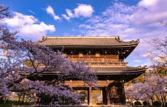 和歌山県岩出市 根来寺「大門」を彩る桜
