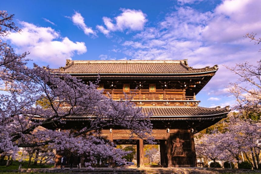 和歌山県岩出市 根来寺「大門」を彩る桜