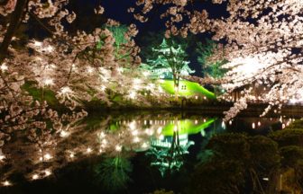 新潟県上越市 日本三大夜桜に数えられる高田城址公園の桜と高田城三重櫓のライトアップ