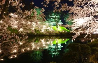 新潟県上越市 日本三大夜桜に数えられる高田城址公園の桜と高田城三重櫓のライトアップ