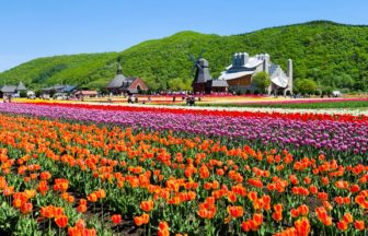 北海道上湧別町 広大な敷地に約70万本のチューリップが咲き誇るかみゆうべつチューリップ公園