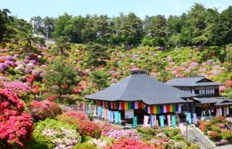 東京都青梅市 約2万株のツツジがすり鉢状の境内を鮮やかに彩る塩船観音寺の絶景