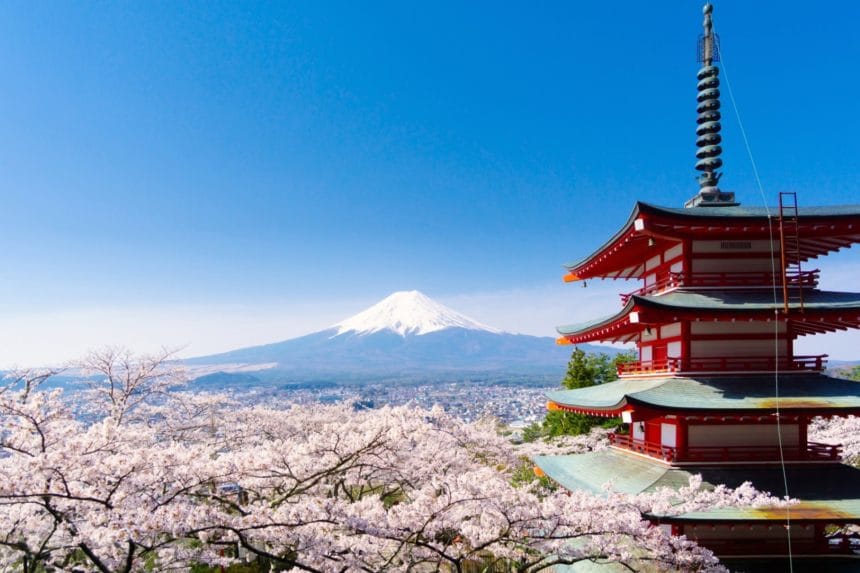 山梨県富士吉田市 新倉山浅間公園の忠霊塔越しに望む富士山と桜