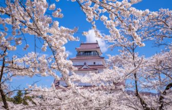 福島県会津若松市 日本さくら名所100選に選出された満開の桜と鶴ヶ城の天守